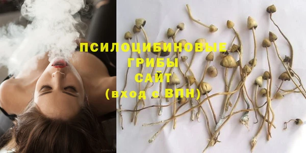 мет Абаза