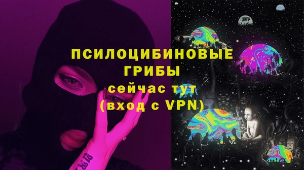 СК Абинск