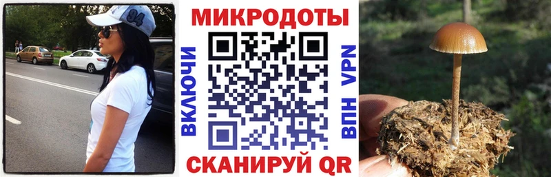 купить закладку  Каменск-Шахтинский  Галлюциногенные грибы Cubensis 